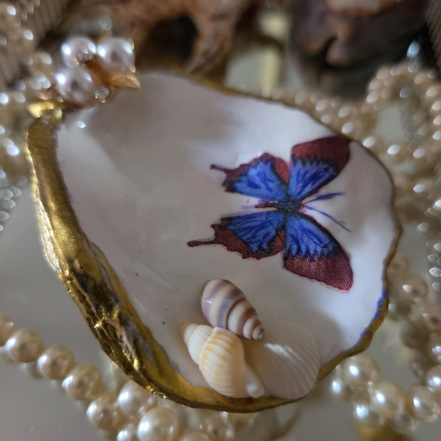 Butterfly Seaside Shell